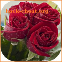 Beautiful flowers and roses Images Gif icon