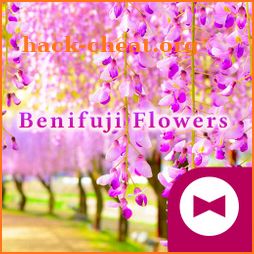 Beautiful Wallpaper Benifuji Flowers Theme icon