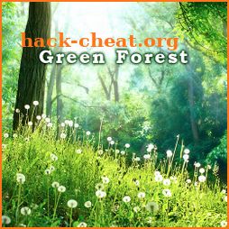 Beautiful Wallpaper Green Forest Theme icon