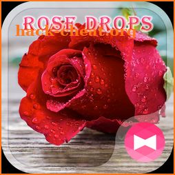 Beautiful Wallpaper Rose Drops Theme icon