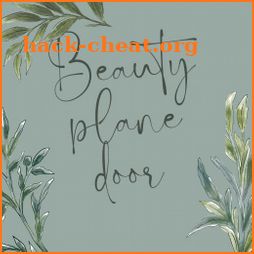 Beauty Plane Door icon