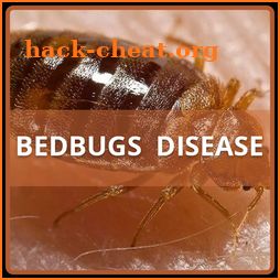 Bedbugs Disease icon