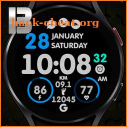 BEE LCD 4 Watchface icon
