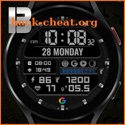 BEE LCD Watchface icon