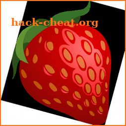 Berry Handbook icon