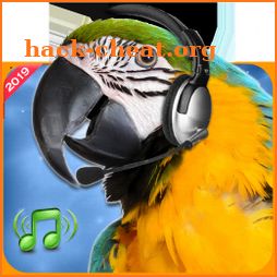 Bird Calls, Sounds & Ringtones for mind relaxation icon