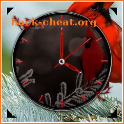 Bird Clock Live Wallpaper icon
