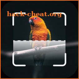 Bird identification: Picture bird identifier app icon