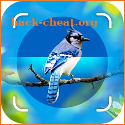 Bird Identifier - Picture Bird icon