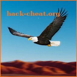 Bird Racing Simulator: Eagle Race Game icon
