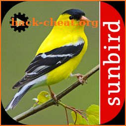 Bird Song Id USA Automatic Recognition songs calls icon