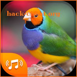 Bird Sounds & Bird Ringtones for Free 2018 icon