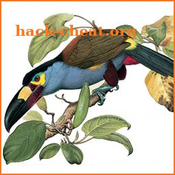 Birds of Ecuador icon