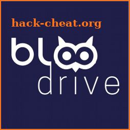 BLOO DRIVE icon