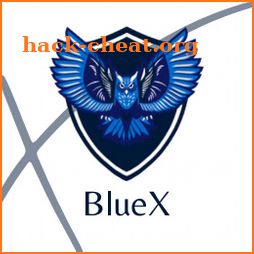 BlueX VPN icon