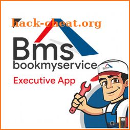 BMS - Executive icon