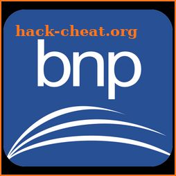 BNP digital icon