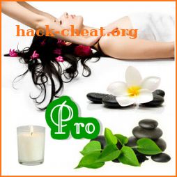 Body Massage Vibration Pro icon