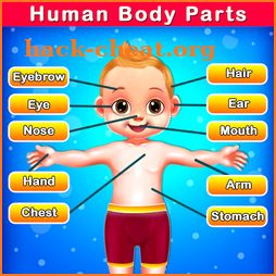 Body Parts for Kids - Human Body Parts icon
