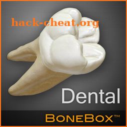 BoneBox™ - Dental Lite icon