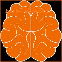 Brain reflection icon