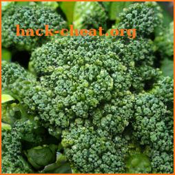 Broccoli CKSJS1 icon