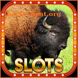 Buffalo Wild Casino Jackpot - Mega Win 777 Slots icon