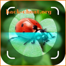 Bug Identifier, Picture Insect icon