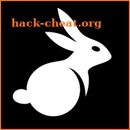 BunnyX VPN icon