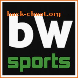 bW Sports 2019 icon