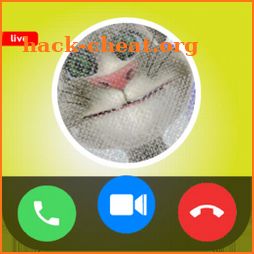 Call from 📱 tom-cat video call & talk  +chat icon