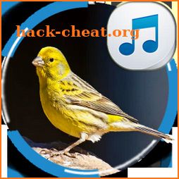 Canary Sounds icon