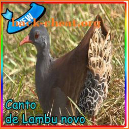 Canto de Lambu Novo 2019 icon