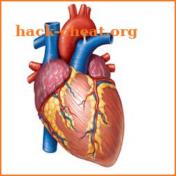 Cardiology Mnemonics icon