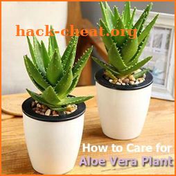 Care for Your Aloe Vera Plant icon