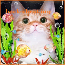 Cat & Aquarium Fish Live Wallpaper icon