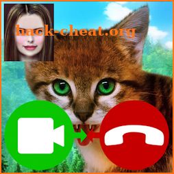 Cat Fake Video Call icon
