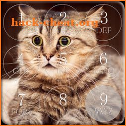 Cat Password Lock Screen icon