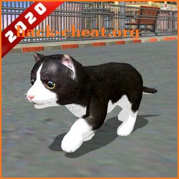 Cat Simulator Game 2020 :Kitty Running icon