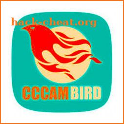 cccambird server icon