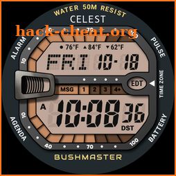 CELEST5576 Retro Digital Watch icon