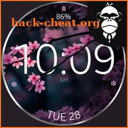 Cherry Blossom Watch Face icon