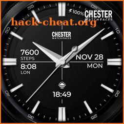 Chester Business watch face icon