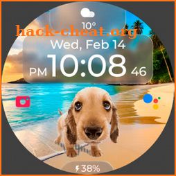 Chester Cute dog watch face icon