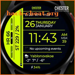 Chester Info Edge watch faces icon