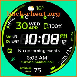 Chester Sport Pro watch face icon