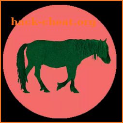 Chincoteague Pony Names icon