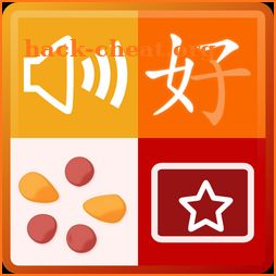 Chinese Dictionary+Flashcards icon