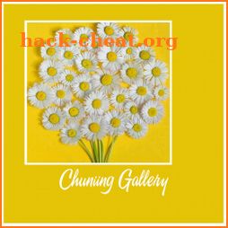 Chuniing Gallery icon
