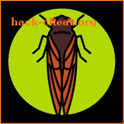 Cicada Safari icon
